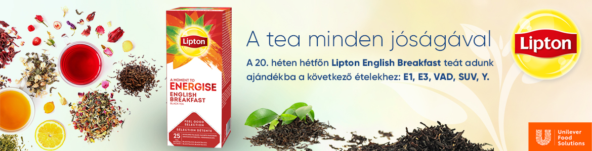 lipton_banner_1170x300 lipton_banner_1170x300